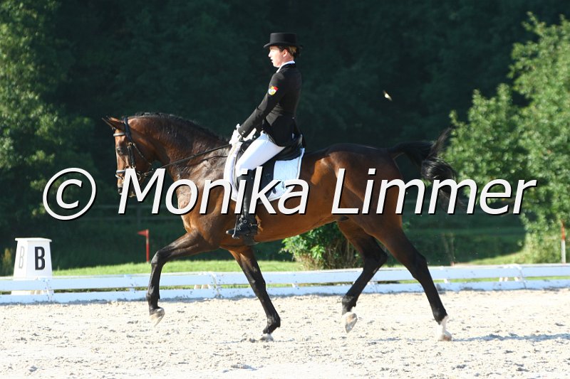 109M6202_Capone_Dressur L_Mannschaft.JPG